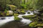 Cascading mountain stream-Great Smoky Mountains National Park-Tennessee-North Carolina Art Print